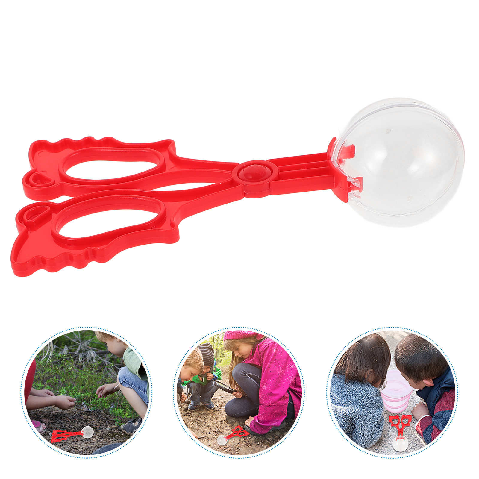 Kids Education Tools - Insektenfangzangen für Reptilien und Schmetterlinge, Sammlerzange