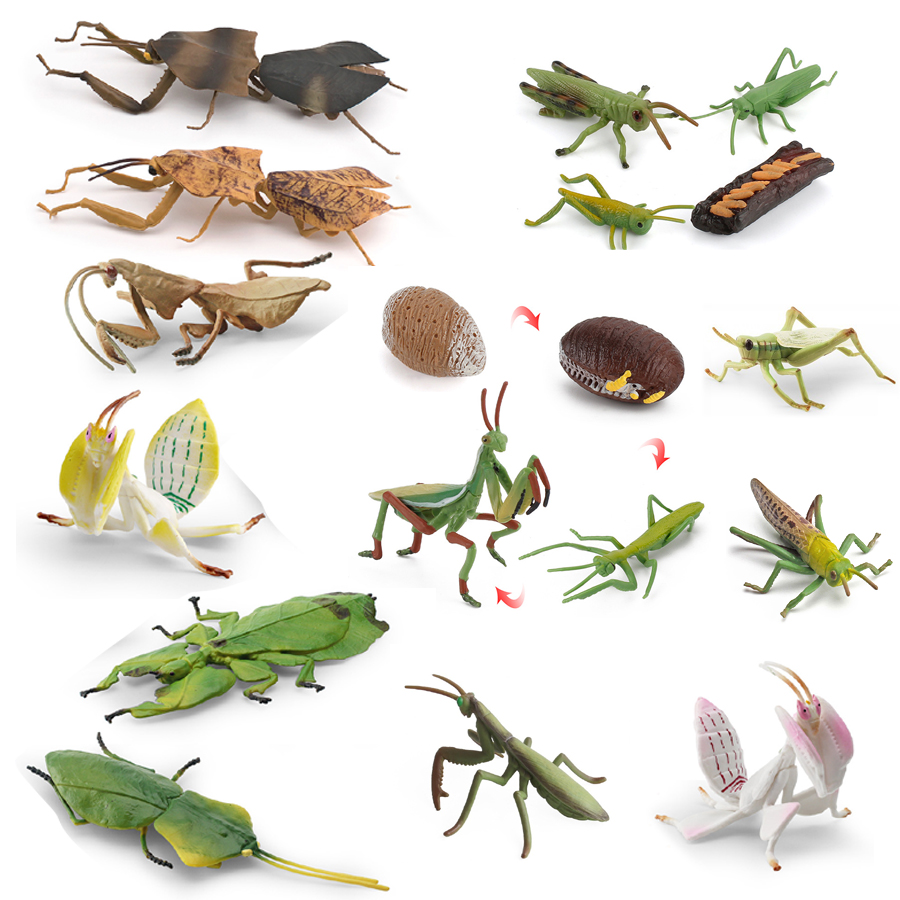 Kids Education Product - Realistische Orchideen-Mantis, tote Blatt-Mantis, riesiges Blattinsektenmodell,