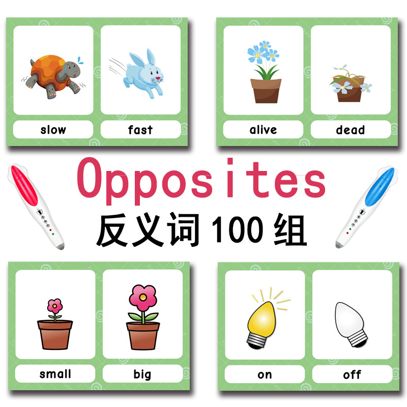 Die 100 Gruppen Gegensätze Ler – Kids Education Product Bewertung und Preis