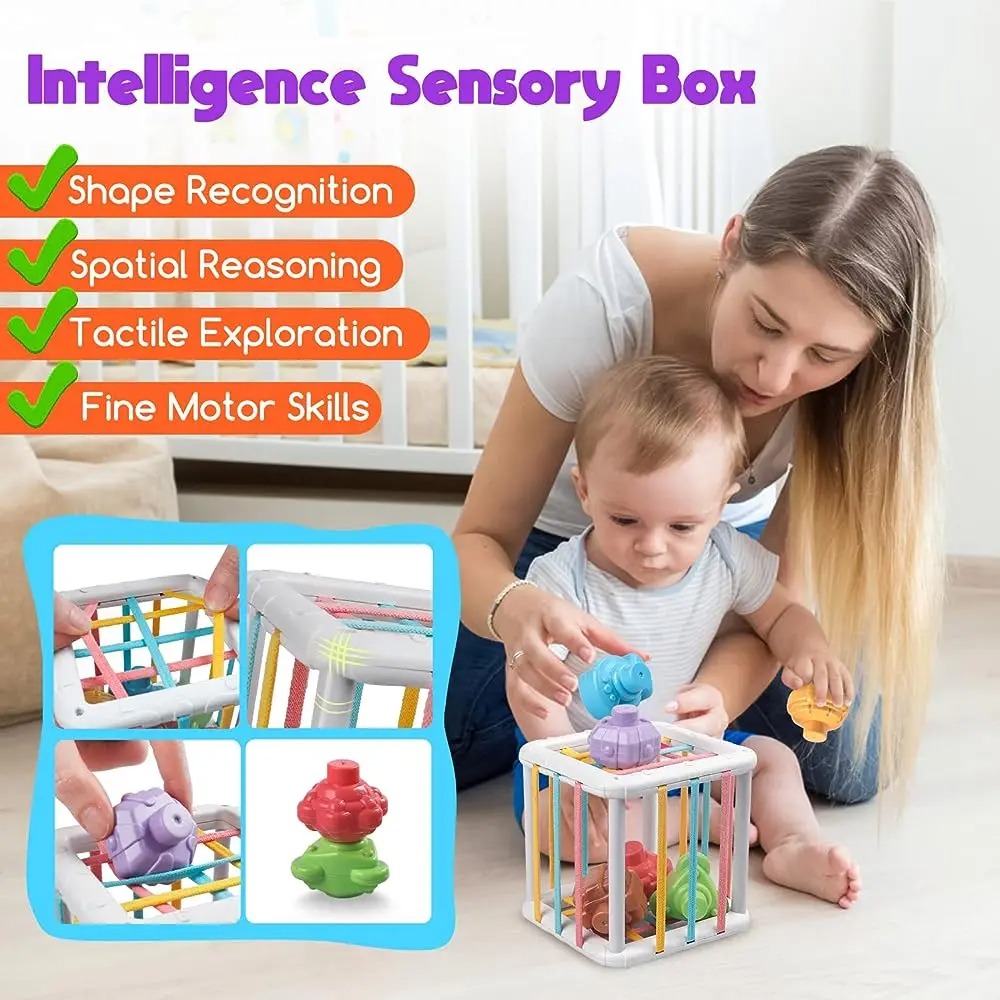 Regenbogenfarbiger Montessori- – Kids Education Product Bewertung und Preis
