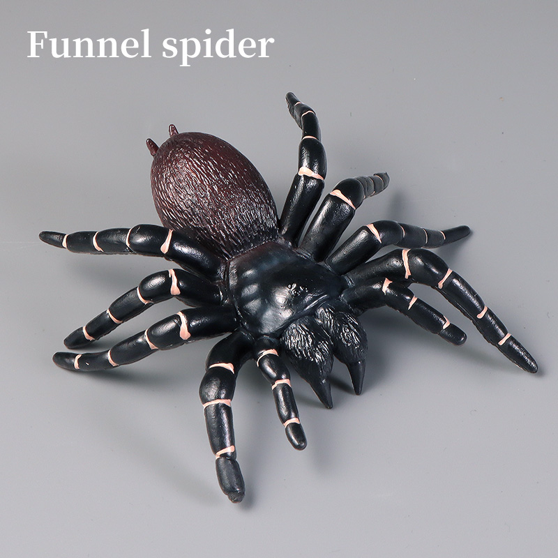 Pädagogische Insekten Spinne S – Kids Education Learn Tv Bewertung und Preis