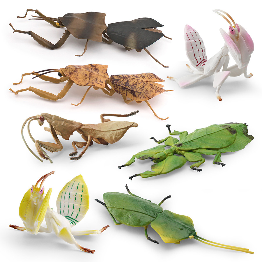 Realistische Orchideen-Mantis, – Kids Education Product Bewertung und Preis