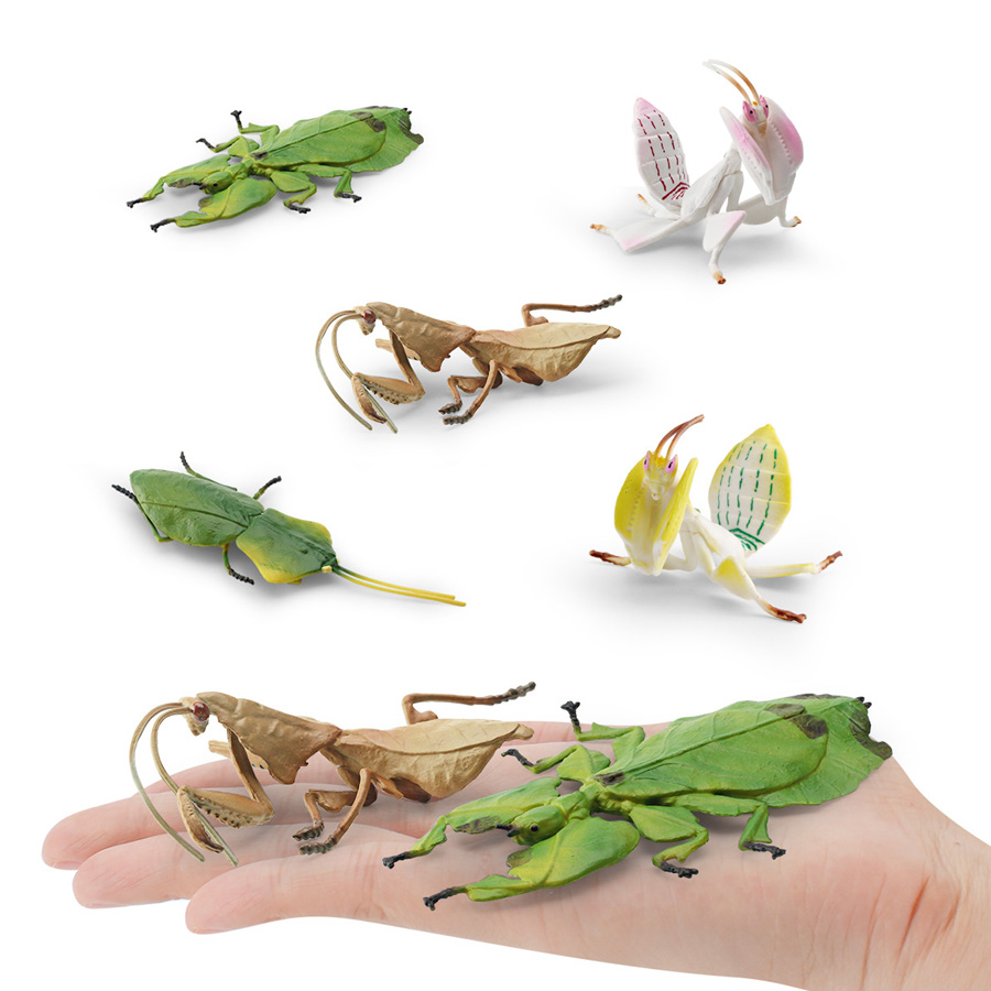 Realistische Orchideen-Mantis, – Kids Education Product Bewertung und Preis